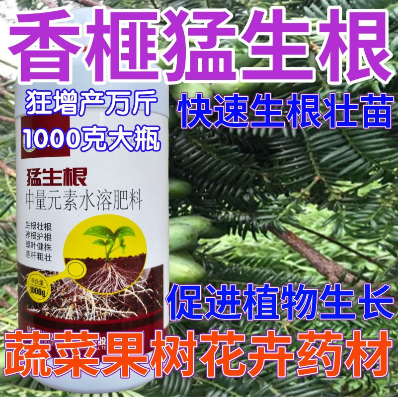 香榧猛生根生根壮苗剂果树蔬菜叶面肥狂生根生根液水溶肥料生根粉