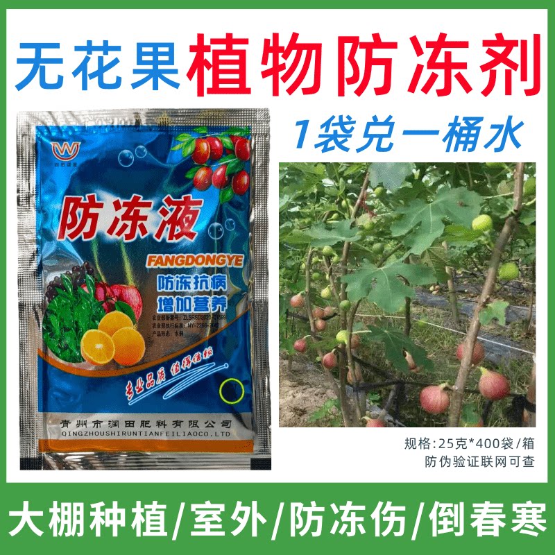 无花果专用防冻剂植物防冻剂防冻害增产叶面肥蔬菜果树预防倒春寒