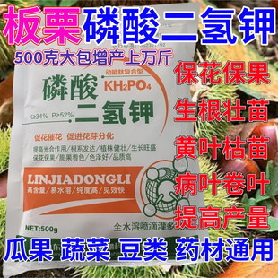 板栗专用磷酸二氢钾叶面肥催花保果药蔬菜果树花卉通用生根壮苗剂