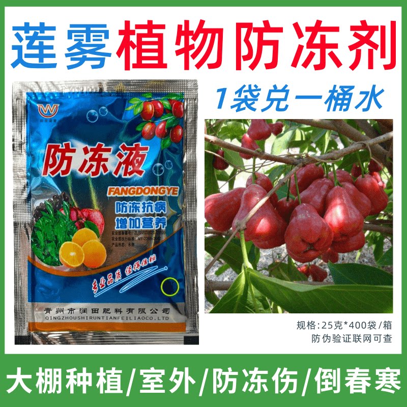 莲雾专用防冻剂植物防冻剂防冻抗寒增产叶面肥蔬菜果树预防倒春寒