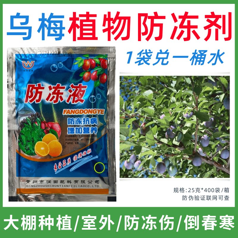 乌梅专用防冻剂植物防冻剂防冻抗寒增产叶面肥蔬菜果树预防倒春寒