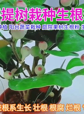 菩提树生根剂生根粉花卉生根壮苗剂花肥庭院蔬菜果树绿植生根肥料