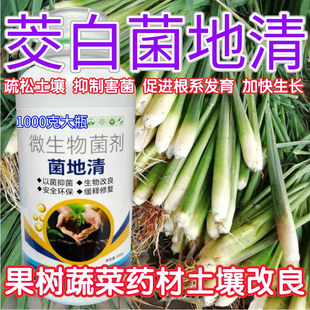 茭白菌立清菌地清微生物菌剂蔬菜药材根腐克星果树农用土壤抑菌肥