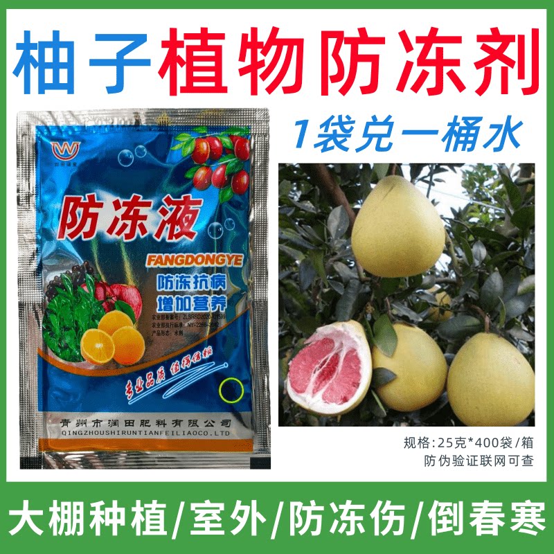 柚子专用防冻剂植物防冻剂防冻抗寒增产叶面肥蔬菜果树预防倒春寒