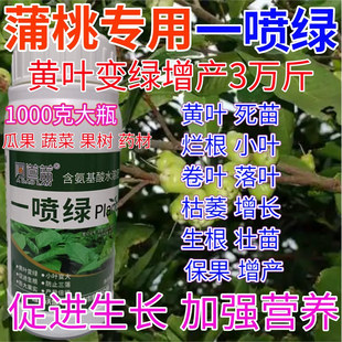 蒲桃一喷绿叶面肥黄叶变绿水溶肥果树蔬菜药材提苗素营养液叶绿素