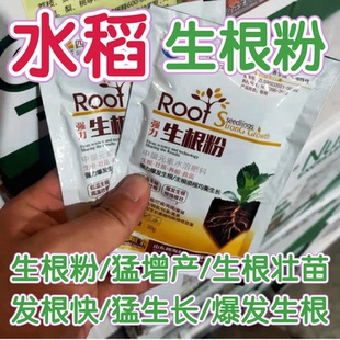 水稻生根粉果树扦插生根壮苗剂增产营养液蔬菜药材强力生根叶面肥