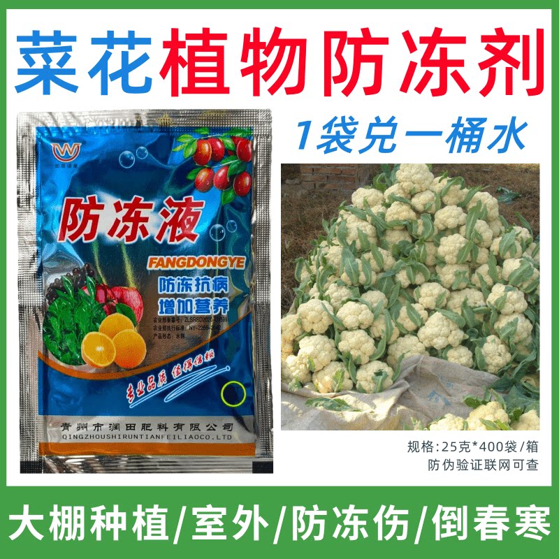 菜花专用防冻剂植物防冻液防冻抗寒增产叶面肥蔬菜果树预防倒春寒