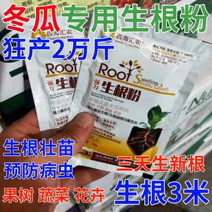 冬瓜生根粉果树扦插生根壮苗剂增产营养液蔬菜药材强力生根叶面肥