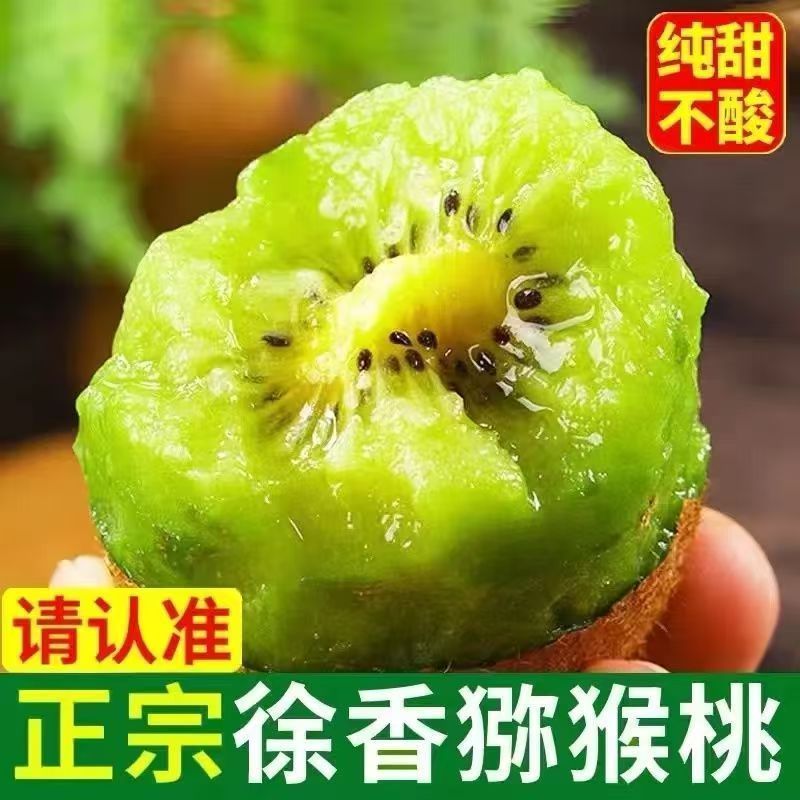 秦岭北麓眉县徐香猕猴桃 新鲜现摘 农家果园直发绿心猕猴桃