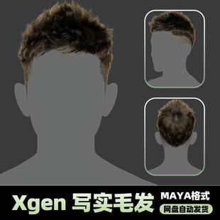 Xgen男性毛发国风现代人物角色发型短发帅maya3D模型丸子头groom