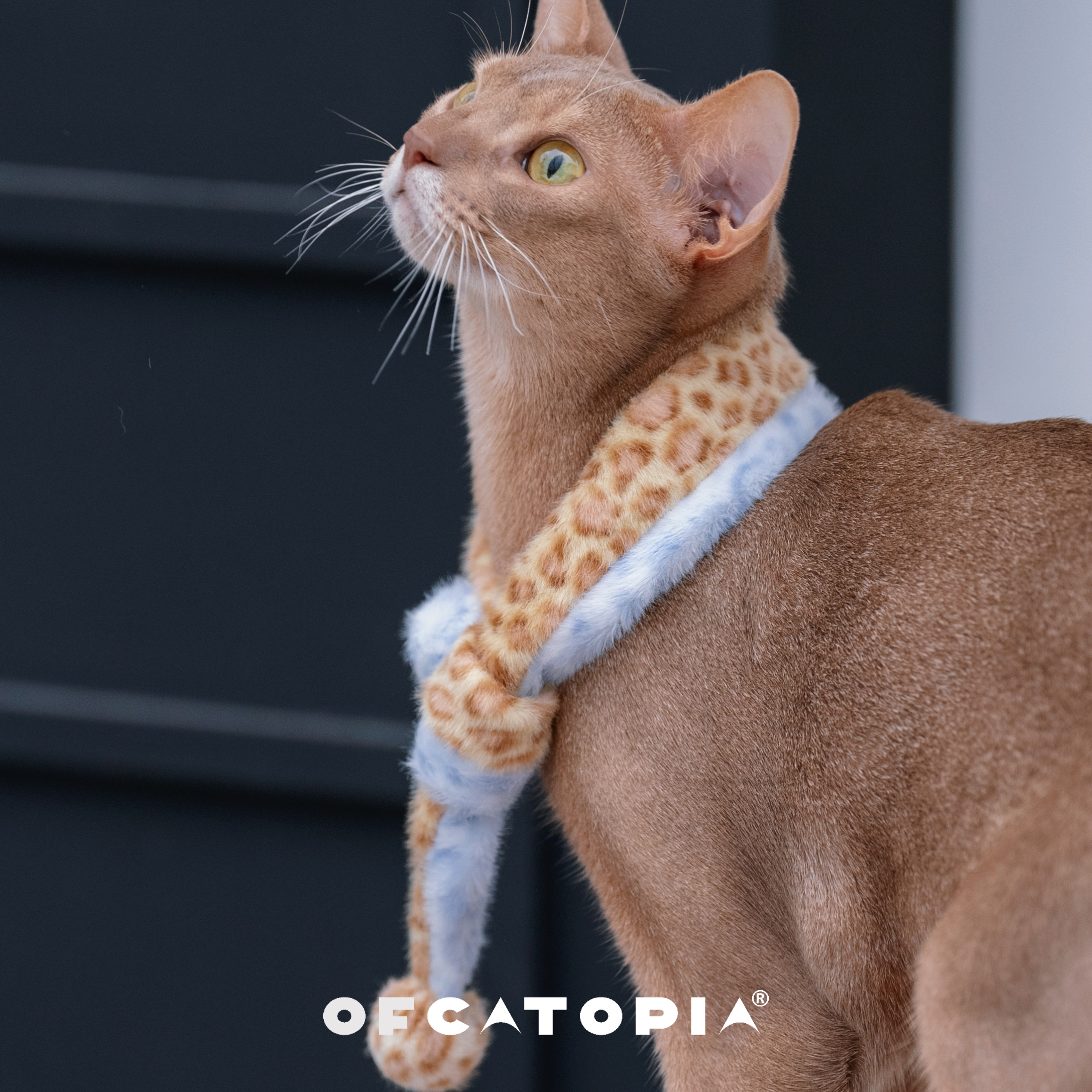 OfCATOPIA毛绒豹纹撞色围巾
