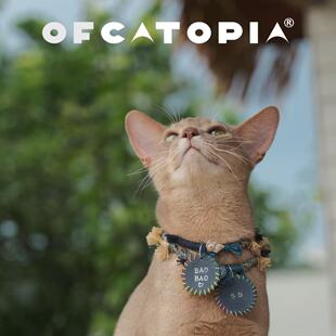 OfCATOPIA 沙滩度假风定制名牌项圈阿比德文猫小灵缇雪纳瑞狗项圈