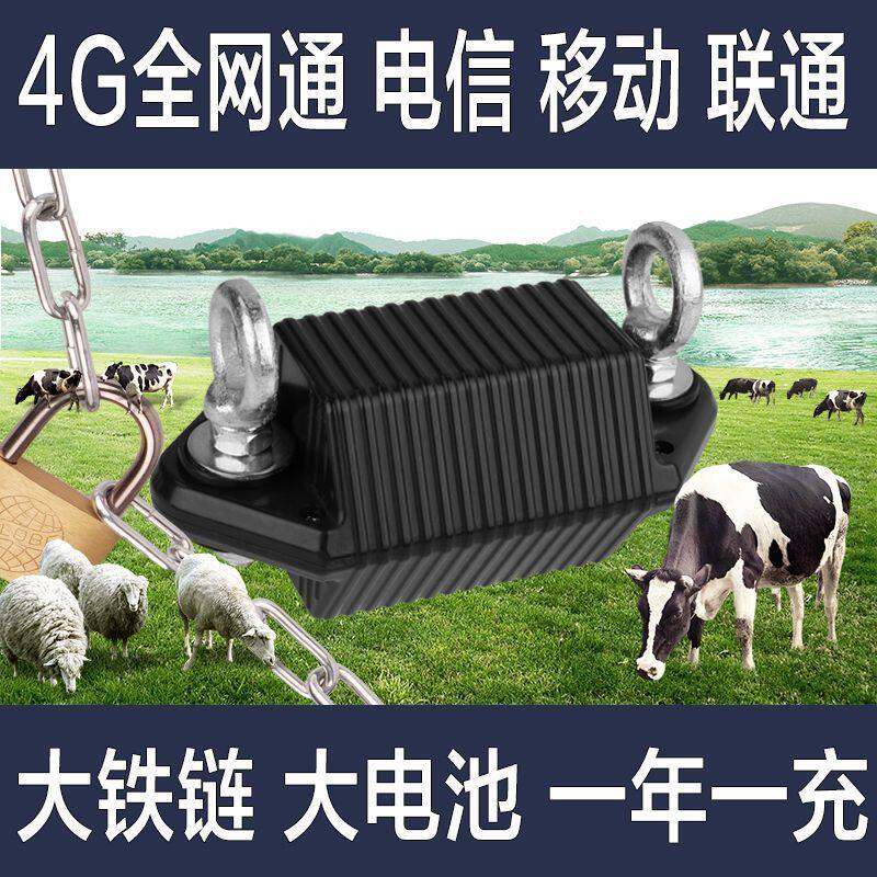 4G牛羊gps定位器追踪器北斗骆驼马山区专用防丢失项圈牛追踪神器