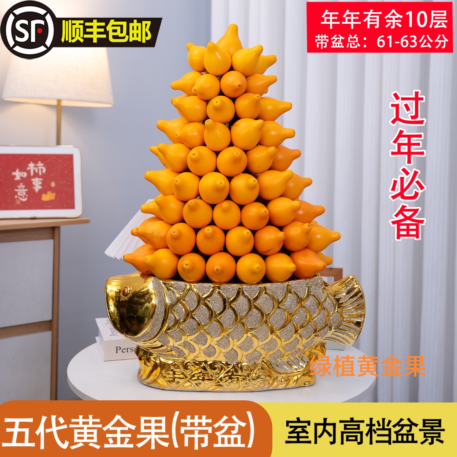 五代同堂黄金果观赏果网红盆栽