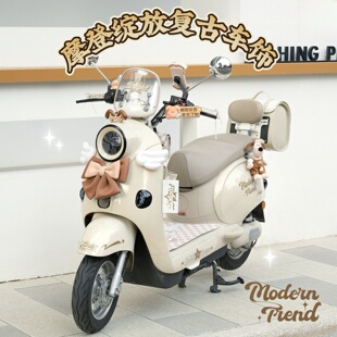 适用雅迪摩登绽放70电动车装 饰复古后备箱手机支架脚垫挂包后视镜