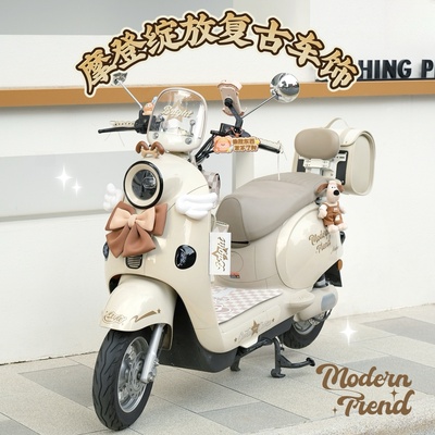 适用雅迪摩登绽放复古电动车装饰