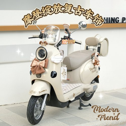 适用雅迪摩登绽放复古电动车装饰