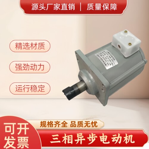 三相异步电动机微型电机