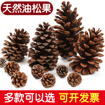 天然松果干花圣诞节环境布置装饰