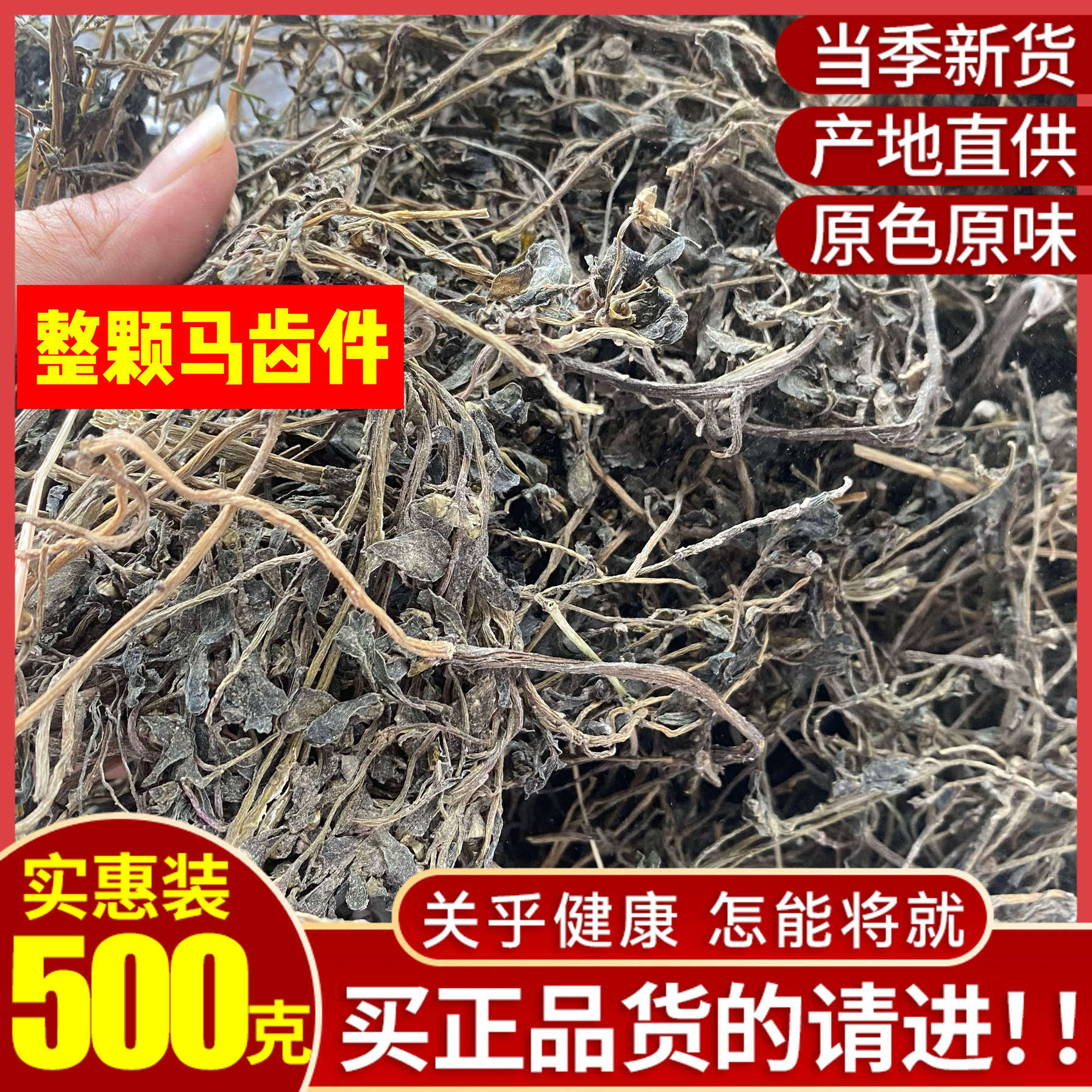 当季新货野生干马齿苋菜干 无老梗食用干马齿菜干货 野干菜