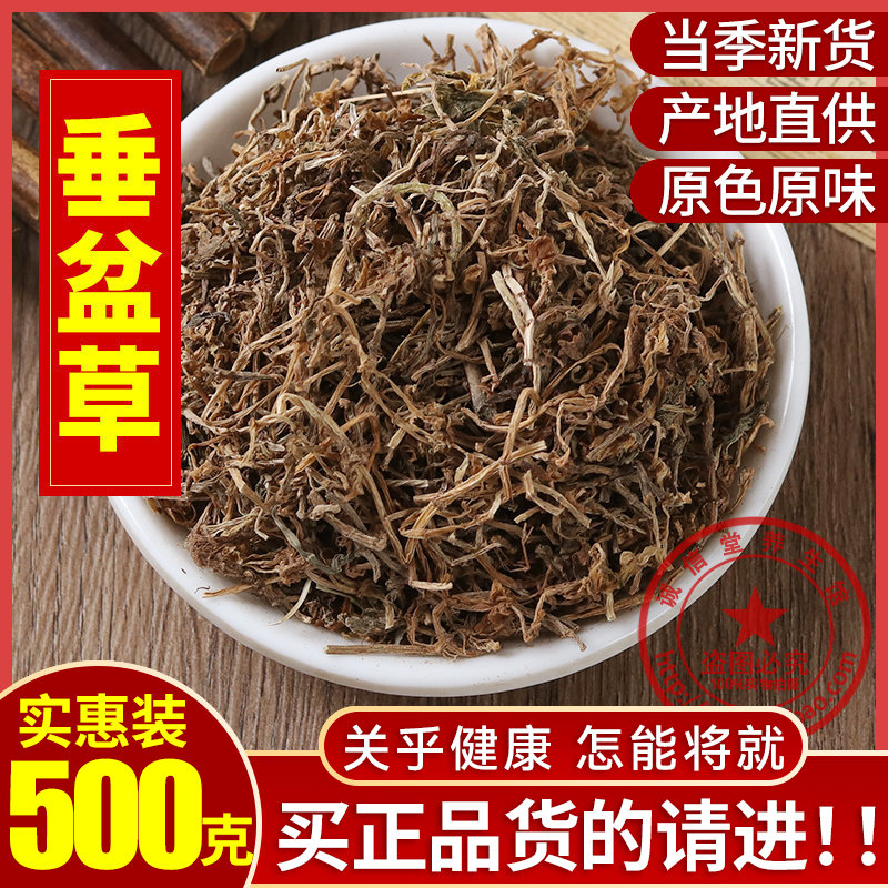 垂盆草食用中药材