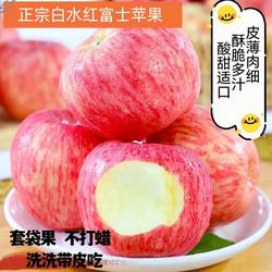 珍妹陕西白水苹果2025新鲜苹果农产品脆甜多汁苹果红富士