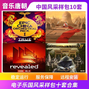 中国风采样包电子乐 EDM HIPHOP WAV采样十套合集