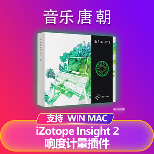 Insight 响度计量效果器插件WIN&MAC