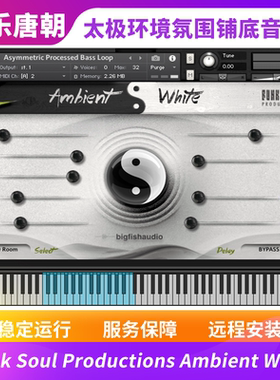 Funk Soul Productions Ambient White 太极环境氛围铺底音源