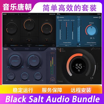 BlackSaltAudio全套混音插件