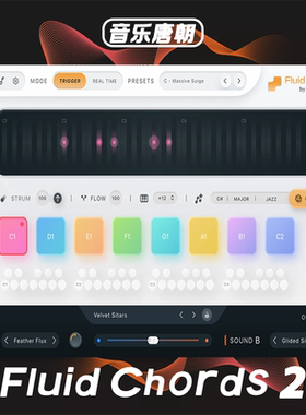 Fluid Chords 2 智能和弦变形工具效果器 WIN+MAC