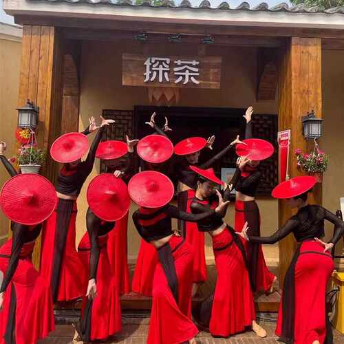 山灵傣族孔雀舞鱼尾裙女舞蹈服