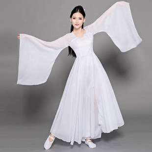 古典舞演出服女飘逸中凉凉舞蹈服装仙女改良汉服古装成人古典舞服