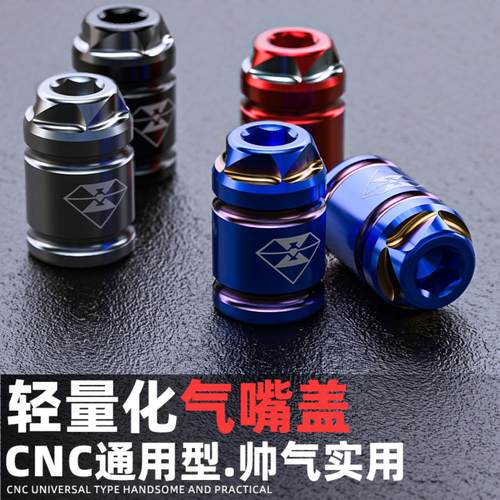 摩托车气嘴盖汽车电动车灵兽改装