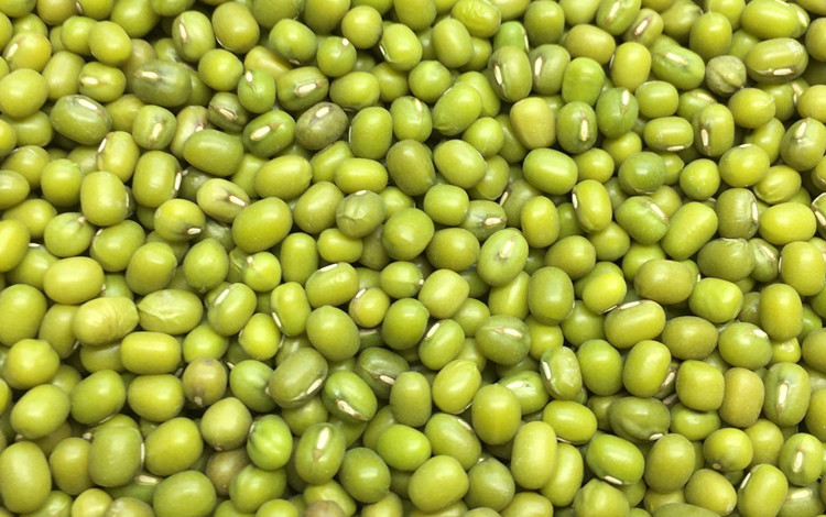 11月09日最新优惠东北农家绿豆绿豆芽仁绿豆米绿豆 小绿豆仁500g