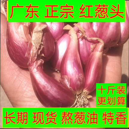 正宗红葱头新鲜干香葱广东本地现货直发熬葱油台湾卤肉饭1份包邮