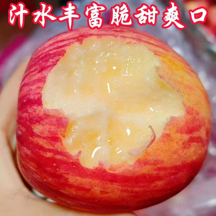 新鲜苹果新鲜水果红富士苹果山东苹果自产自销应季水果新鲜采摘