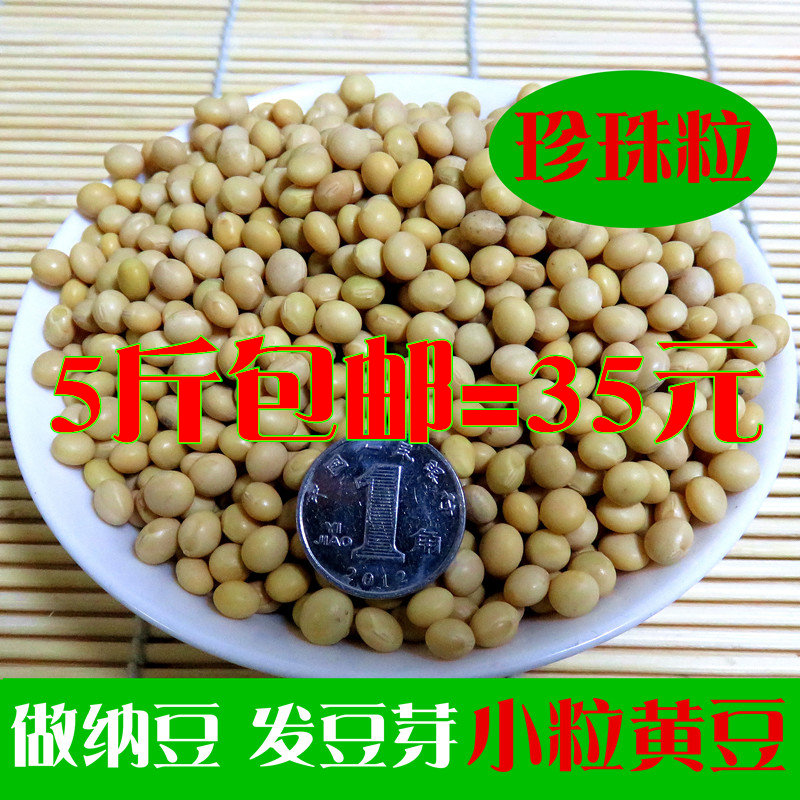 珍珠粒专用包邮小黄豆