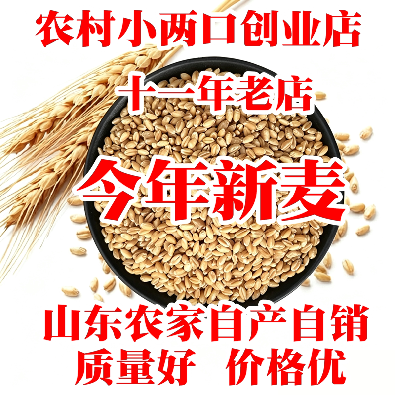 自产自销农家新小麦质量好价格低