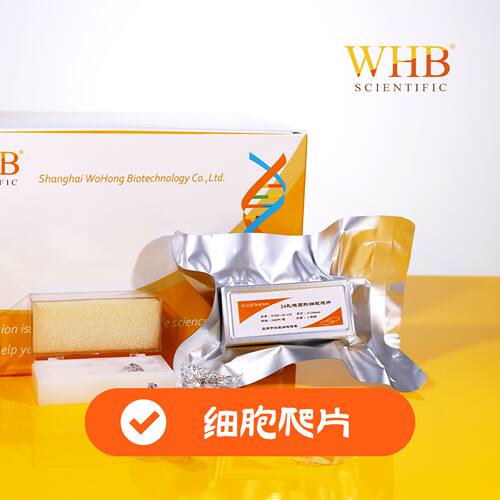 WHB卧宏TC处理6/12/24孔板方形细胞爬片24*24/15*15/10*10mm灭菌
