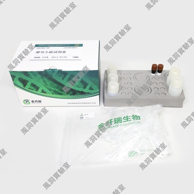 金开瑞酵母质粒小提试剂盒 质粒提取适用酶切/PCR/测序/连接/转化