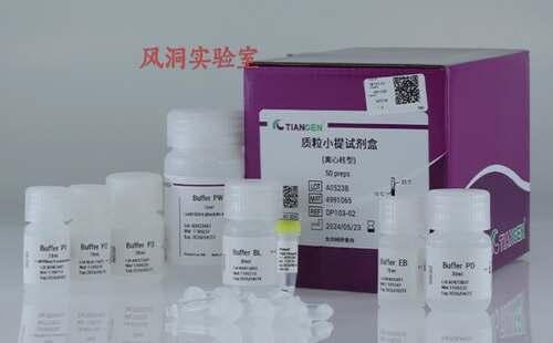 天根质粒小提试剂盒（DP103）基于硅胶膜技术,轻松获得高质量质粒