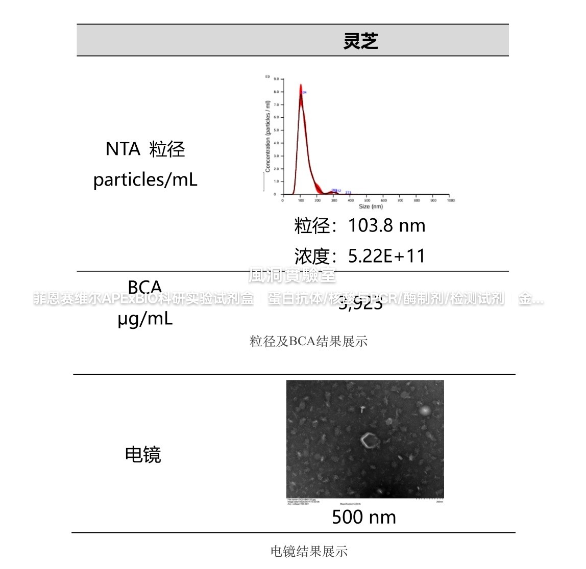 umibio大型真菌囊泡提取纯化试剂盒，高效释放真菌子实体组织囊泡