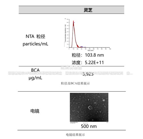 umibio大型真菌囊泡提取纯化试剂盒，高效释放真菌子实体组织囊泡