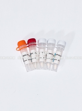 BIOG miRNA加尾法逆转录试剂盒(血浆)含Oligo d(T)的引物RT效率高