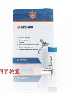 APExBIO HotStartqPCR试剂盒通用型SYBR Green I预混液(Rox)K1170