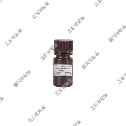 Hoechst 33258染液（即用型）10mL 可用于细胞、组织细胞核染色