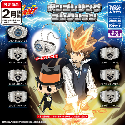 家庭教师指环争夺战2扭蛋 TOMY多美彭格列大空岚戒指 2月预定定金