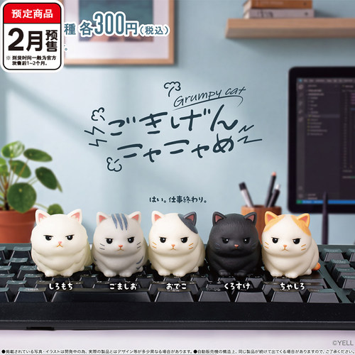 坏脾气小猫咪摆件扭蛋 YELL三花橘猫工作 2月预定定金