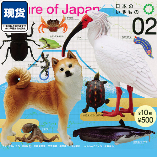日本生物图鉴2扭蛋 IKIMON柴犬树蛙蜥蜴青牛收藏摆件 现货